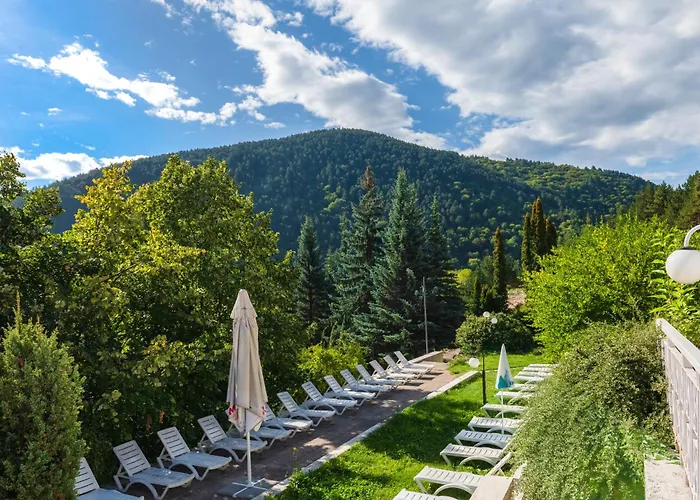 Hotel Balneocomplex Kamena 3*